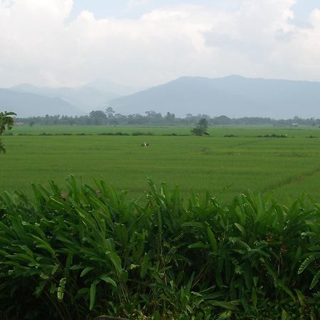Rico Resort Chiang Kham Zewnętrze zdjęcie