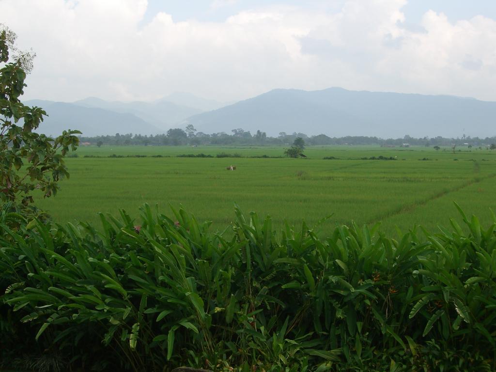 Rico Resort Chiang Kham Zewnętrze zdjęcie